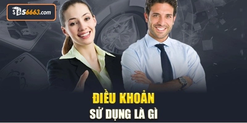 Vai trò quan trọng của điều kiện điều khoản S666