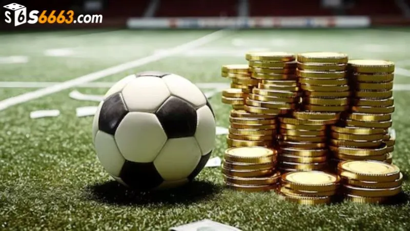 Các cửa cược khi chơi kèo cược đồng banh S666