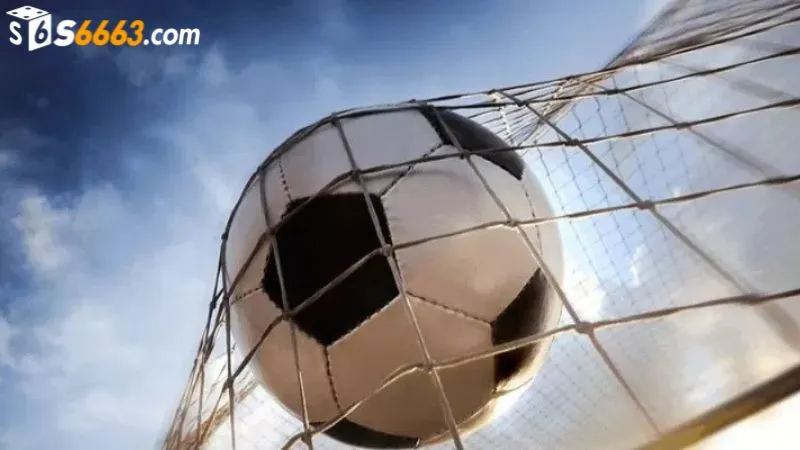 Chọn thời điểm đặt cược phù hợp khi chơi cược rung