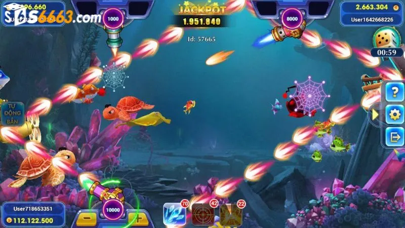 Chọn thời điểm săn cá thích hợp để bắn hạ nhiều cá