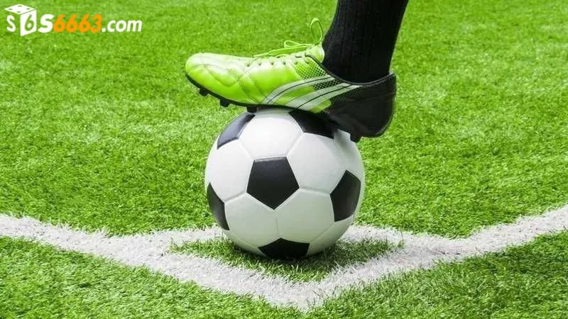 Cược thủ nên chú ý đến tỷ lệ cược của S666