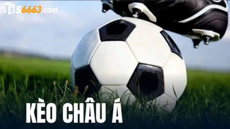 Đa dạng kèo cược châu Á để người chơi lựa chọn