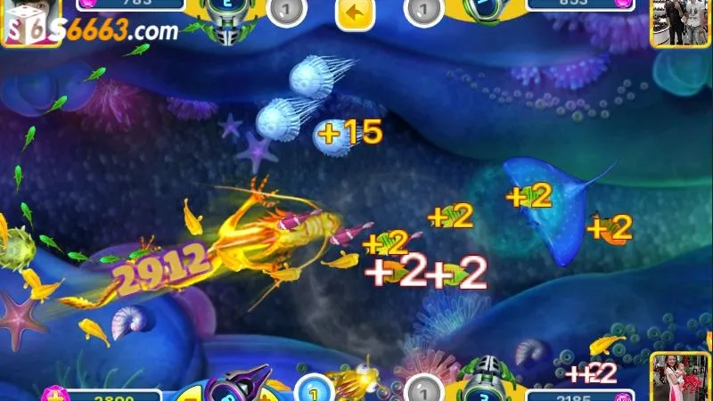 Đa dạng sinh vật biển với mức thưởng khác nhau