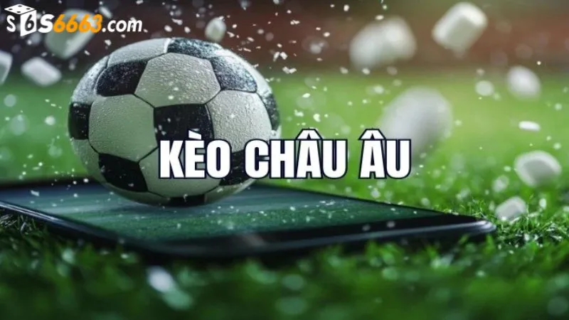 Học hỏi kinh nghiệm cá cược từ các cao thủ S666