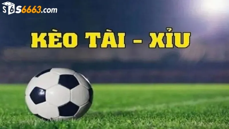 Kèo tài xỉu được nhiều cược thủ lựa chọn tại S666