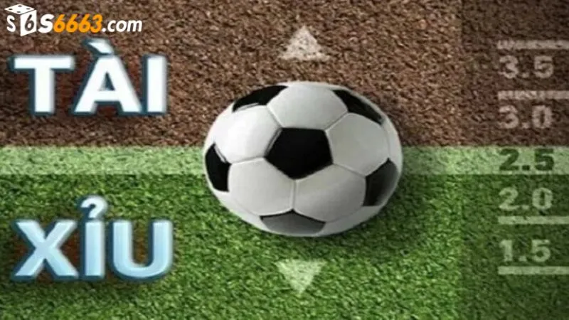Người chơi cần hiểu rõ kèo tài xỉu 2.5 là gì