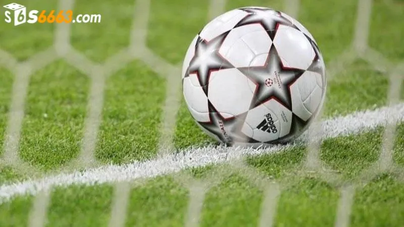 Người chơi cần tìm hiểu kỹ đội thi đấu trước khi đặt cược