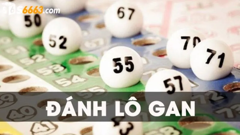 Phân tích chu kỳ lô để nhận biết lô gan chuẩn xác