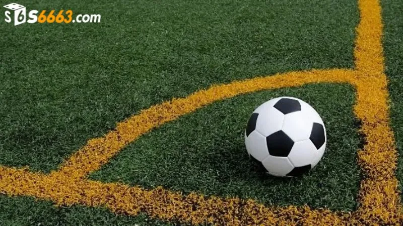 Sử dụng chiến thuật linh hoạt khi tham gia kèo cược