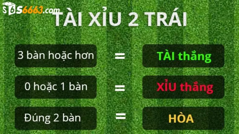 Cách đọc kèo 2 trái đơn giản cho người chơi mới