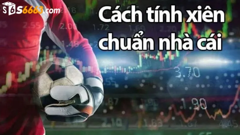 Cách tính tiền cá cược dễ dàng cho người chơi