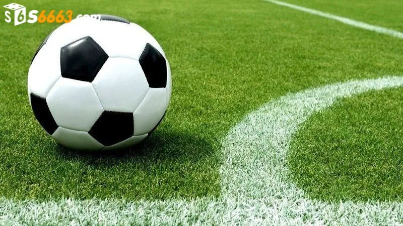 Đa dạng cửa cược khi chơi kèo ma cao