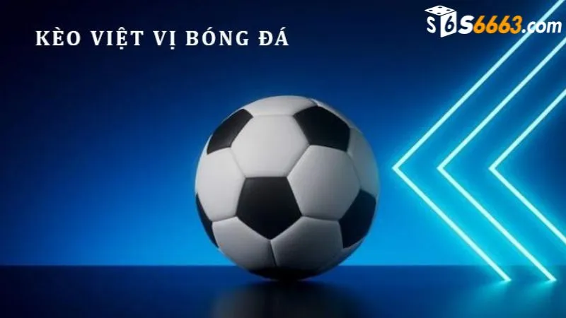 Phân tích chiến thuật và thống kê giúp bắt kèo chính xác