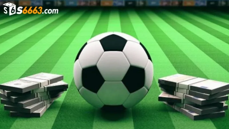 Hướng dẫn tính tiền cược tài xỉu bóng đá đơn giản