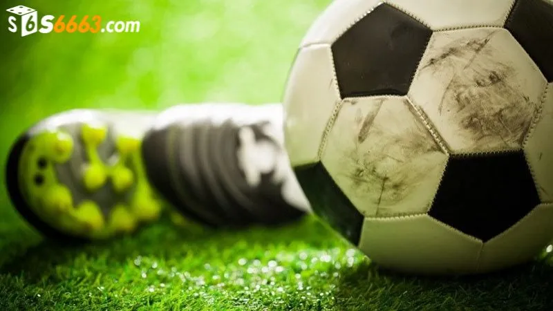 Mẹo soi kèo tài xỉu nửa trái cực chuẩn từ cao thủ cá cược