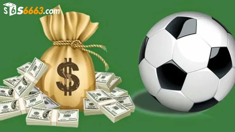 Người chơi tham gia cá cược để có cơ hội nhận thưởng